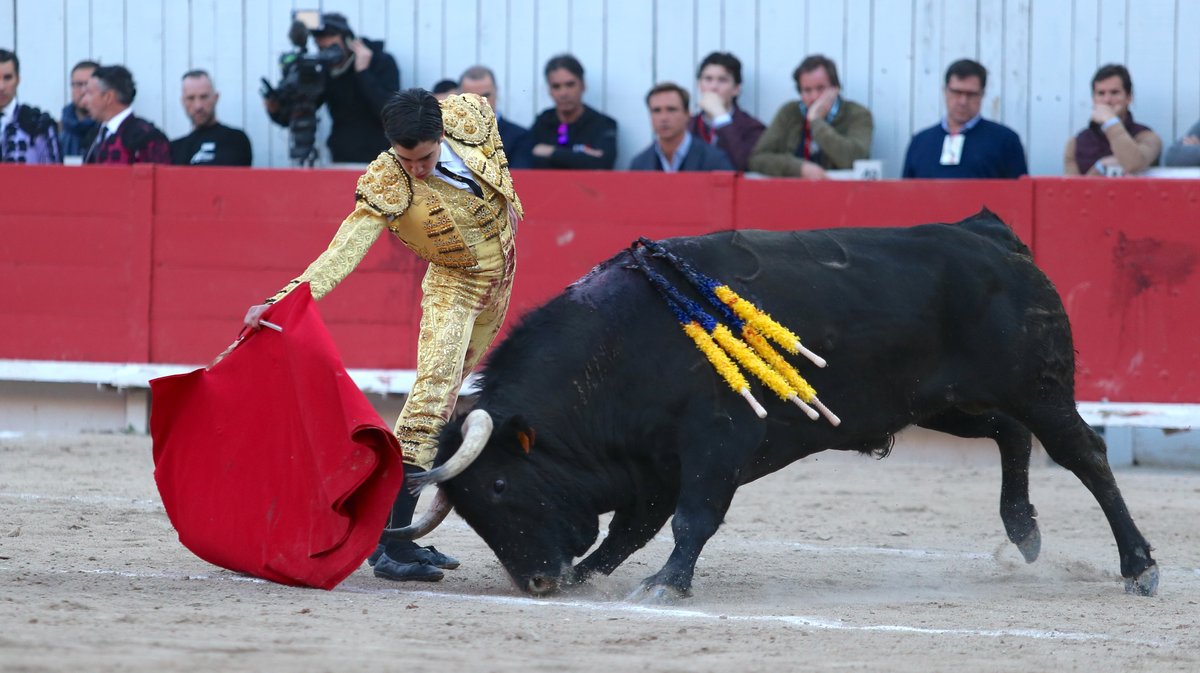 Corrida de Garcigrande pour Jose Maria Manzanares, Alejandro Talavante et Marco Perez (Photo Anthony Maurin)