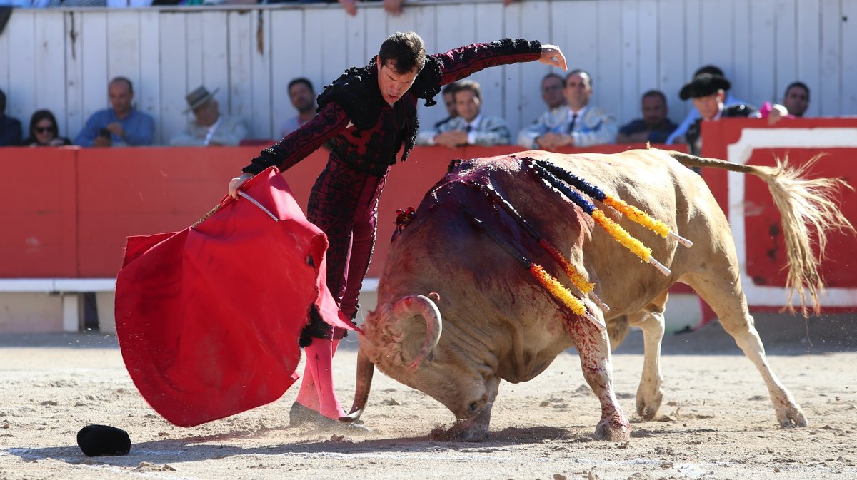 Corrida de Torrealta pour Daniel Luque, Emilio de Justo et Tomas Rufo (Photo Anthony Maurin)