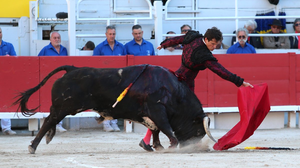 Corrida de Torrealta pour Daniel Luque, Emilio de Justo et Tomas Rufo (Photo Anthony Maurin)