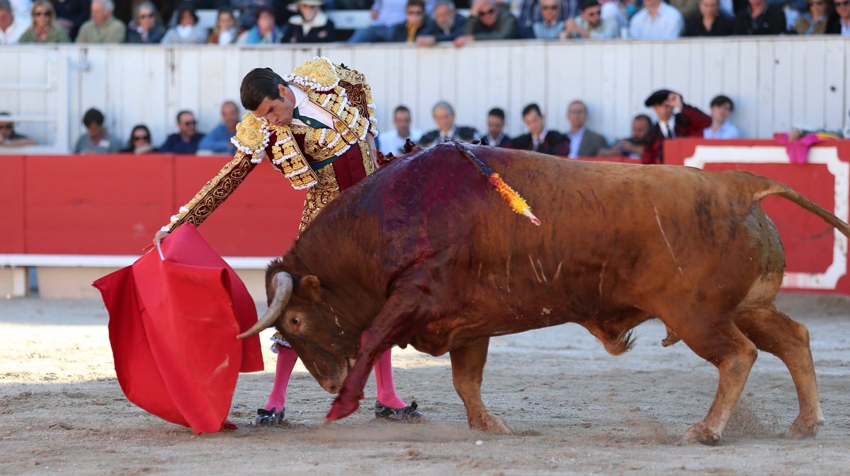 Corrida de Torrealta pour Daniel Luque, Emilio de Justo et Tomas Rufo (Photo Anthony Maurin)