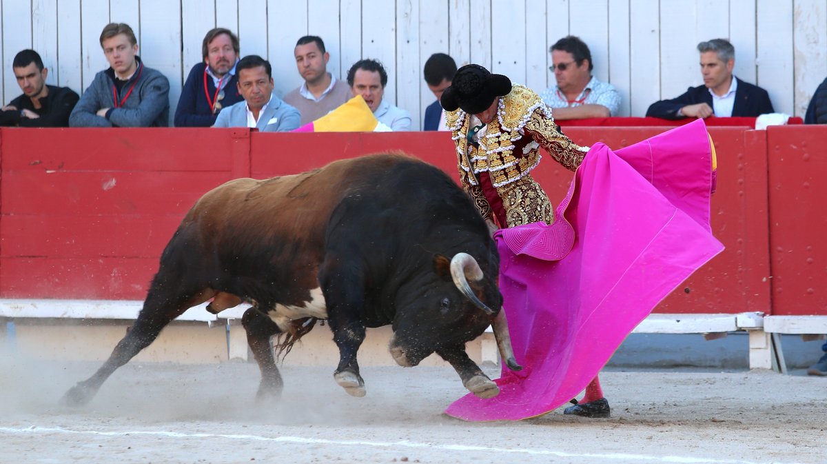 Corrida de Torrealta pour Daniel Luque, Emilio de Justo et Tomas Rufo (Photo Anthony Maurin)