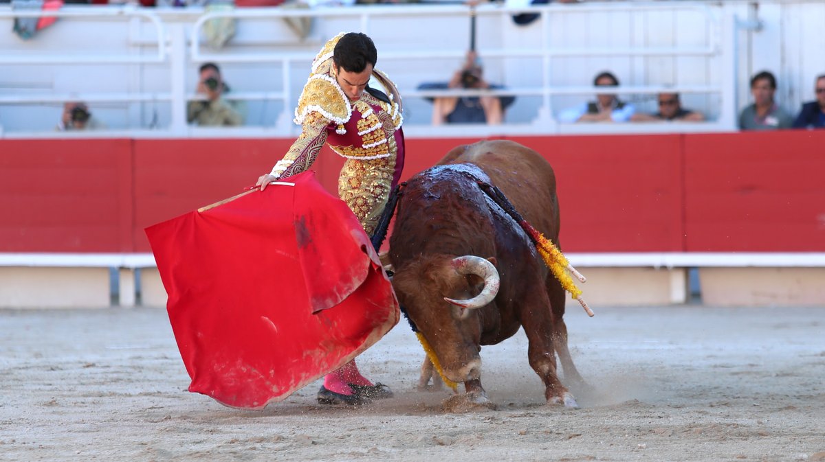 Corrida de Torrealta pour Daniel Luque, Emilio de Justo et Tomas Rufo (Photo Anthony Maurin)