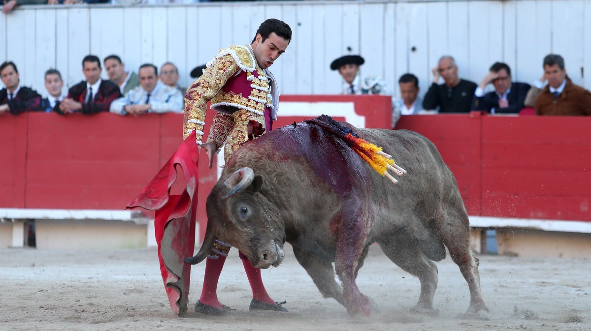 Corrida de Torrealta pour Daniel Luque, Emilio de Justo et Tomas Rufo (Photo Anthony Maurin)