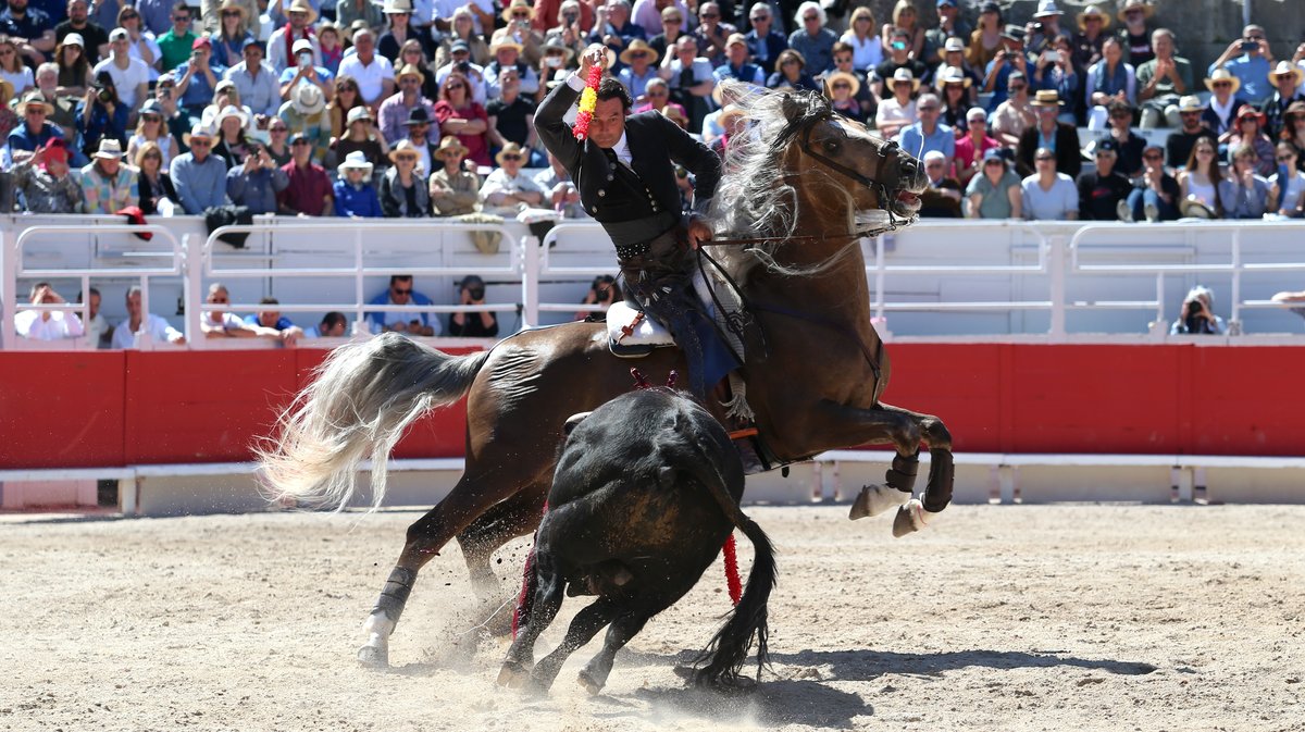 Corrida de Passanha pour Andy Cartagena, Léa Vicens et Guillermo Hermoso de Mendoza (Photo Anthony Maurin)