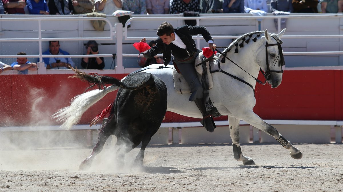 Corrida de Passanha pour Andy Cartagena, Léa Vicens et Guillermo Hermoso de Mendoza (Photo Anthony Maurin)