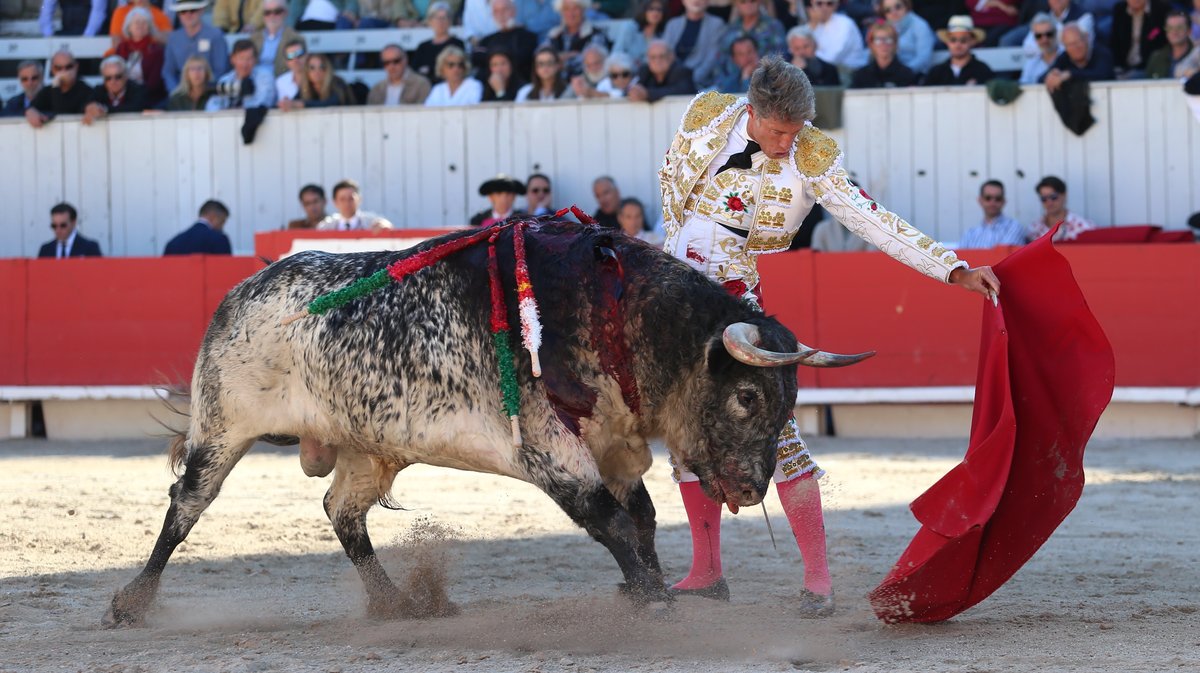 Corrida de Murteira Grave pour Manuel Escribano, Jesus Enrique Colombo et El Rafi (Photo Anthony Maurin)