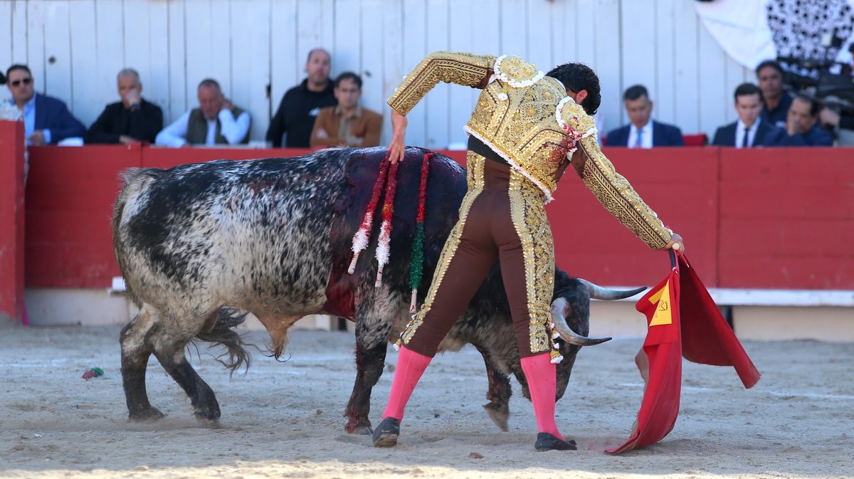 Corrida de Murteira Grave pour Manuel Escribano, Jesus Enrique Colombo et El Rafi (Photo Anthony Maurin)