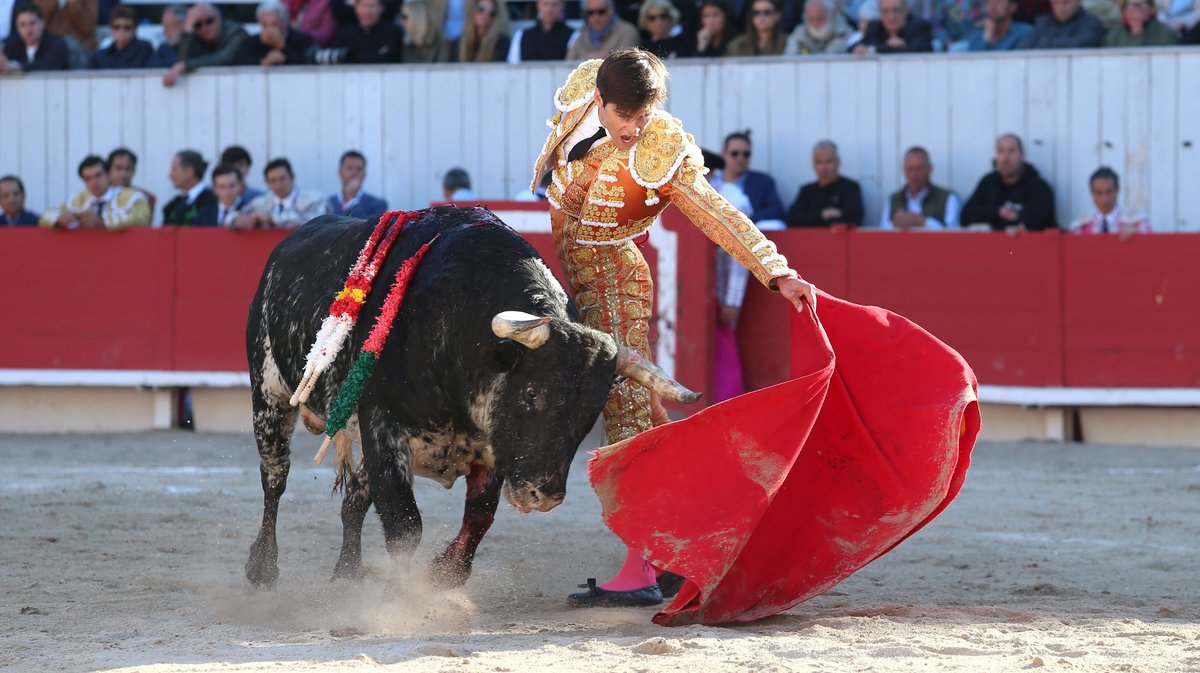 Corrida de Murteira Grave pour Manuel Escribano, Jesus Enrique Colombo et El Rafi (Photo Anthony Maurin)