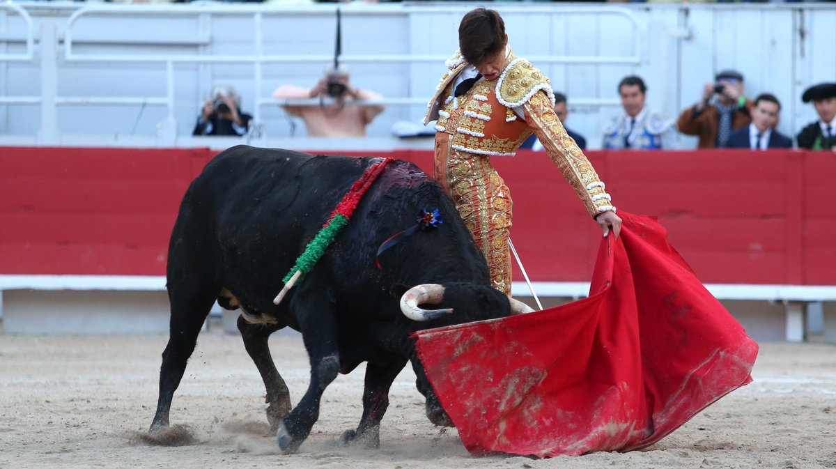 Corrida de Murteira Grave pour Manuel Escribano, Jesus Enrique Colombo et El Rafi (Photo Anthony Maurin)