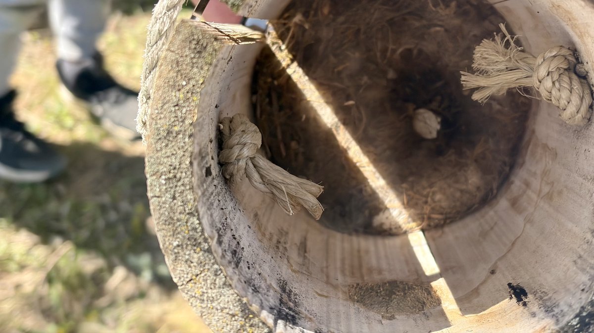 Maison Rivier biodiversité