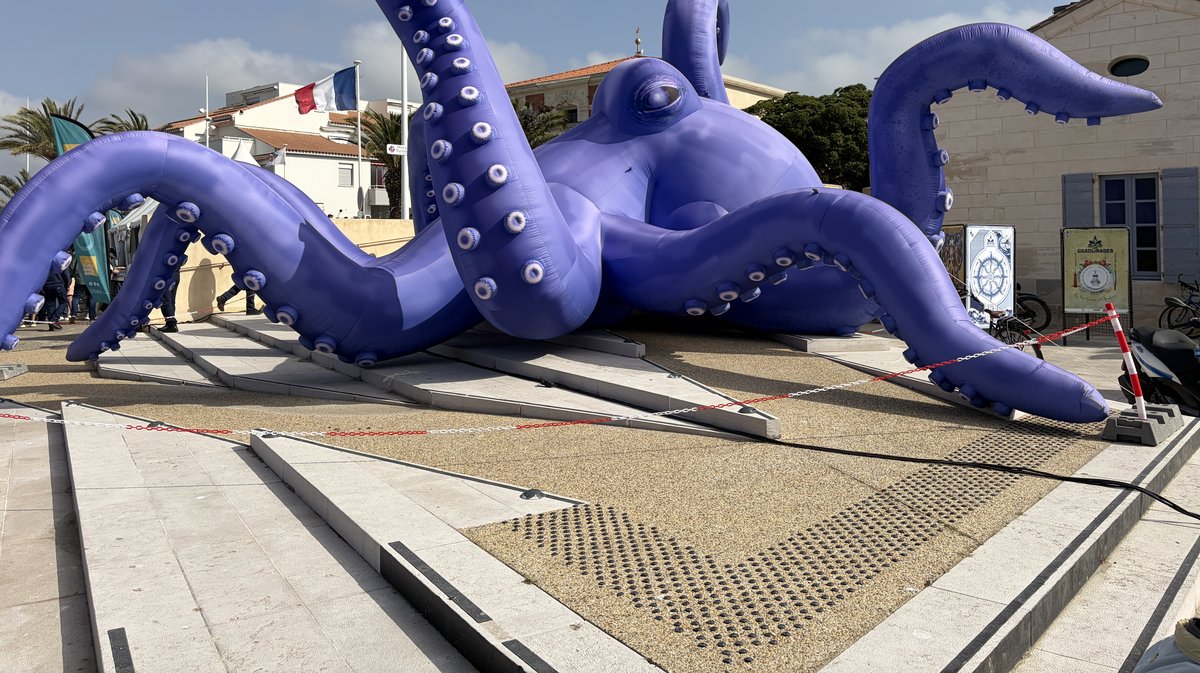 graulinades 2026 grau du roi poulpe