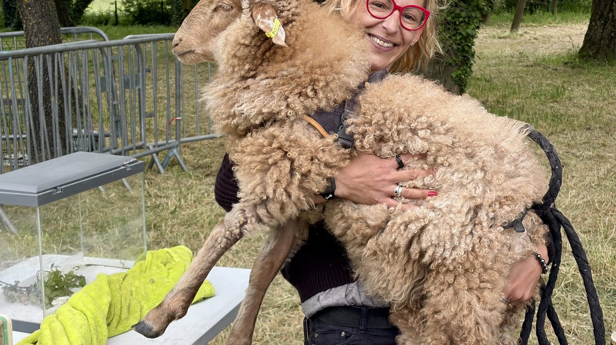 La fête des Jardiniers amateurs Bagnols/Cèze