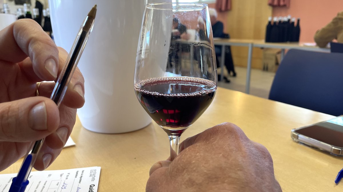 Guide Hachette vins (Photo Anthony Maurin)