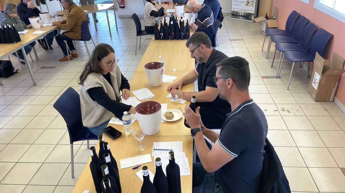 Guide Hachette vins (Photo Anthony Maurin)