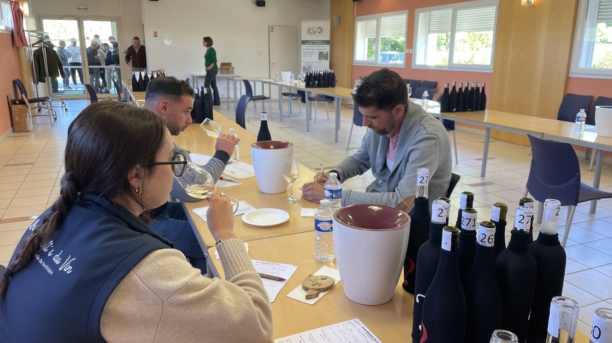 Guide Hachette vins (Photo Anthony Maurin)