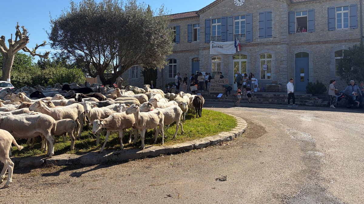 école de Tornac fermeture de classe