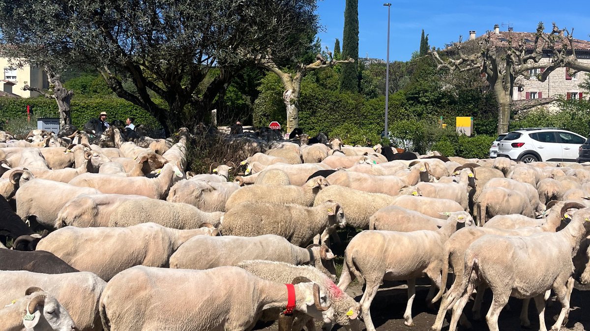 fermeture de classe école de Tornac
