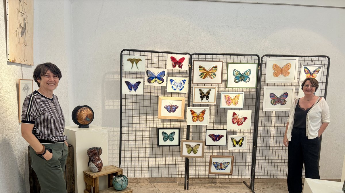 Expo Terres et Lumières