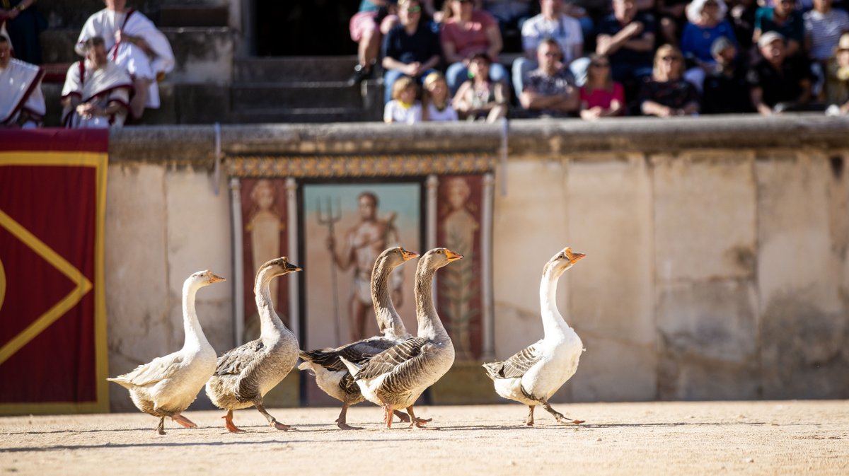 spartacus arenes nimes romaines spectacle