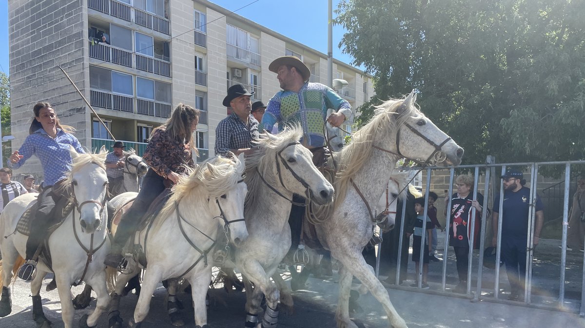 Journées taurines de Griffeuille 2026