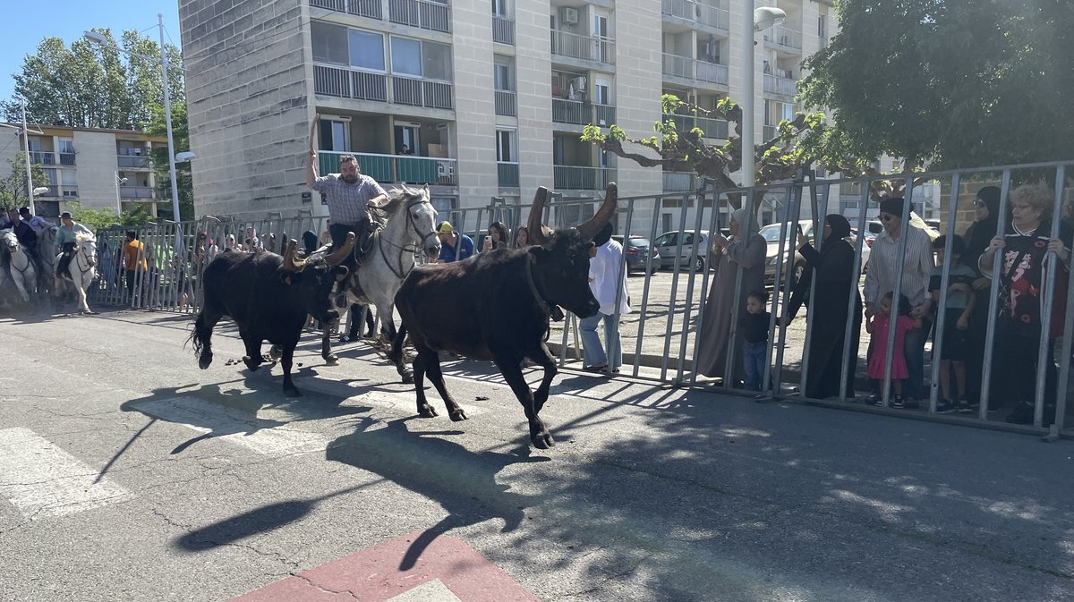 Journées taurines de Griffeuille 2026