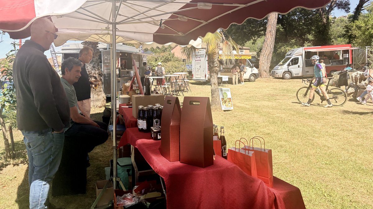 Colnago GF Provence Occitane 2026