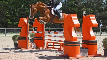 Les Écuries des Costières ety le saut d'obstacles (Photo Photos&Co Cécile Cand)