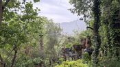 jardin des sambucs
