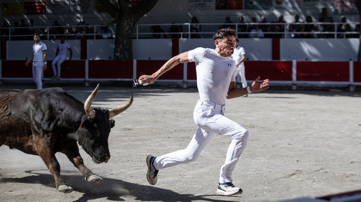 redessan course camarguaise raseteurs