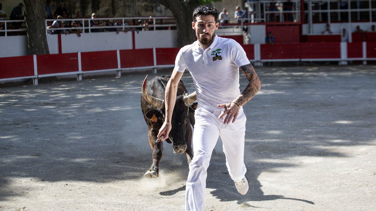 redessan course camarguaise raseteurs