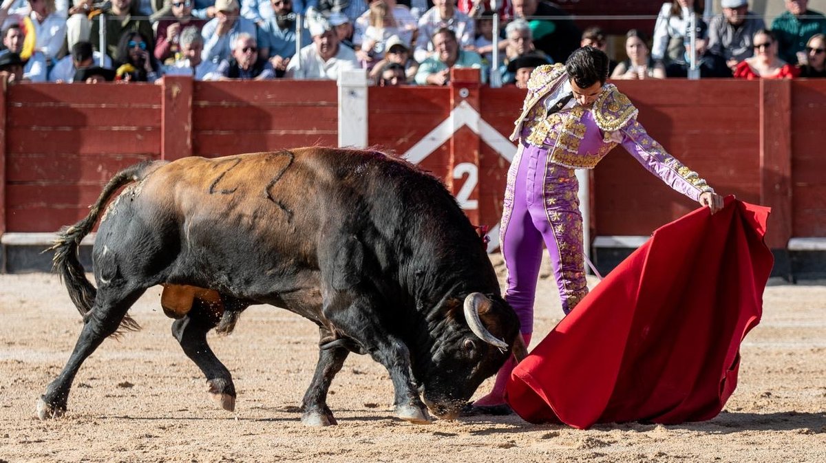 Carlos Olsina