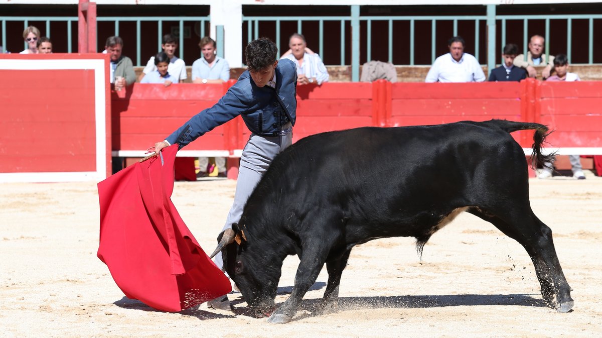 Bolsin Robert Laurent 2026 ganaderia Turquay pour Baptiste Angosto, Sacha Mosti, Rogelio Pajuelo et Julio Martin (Photo Anthony Maurin)