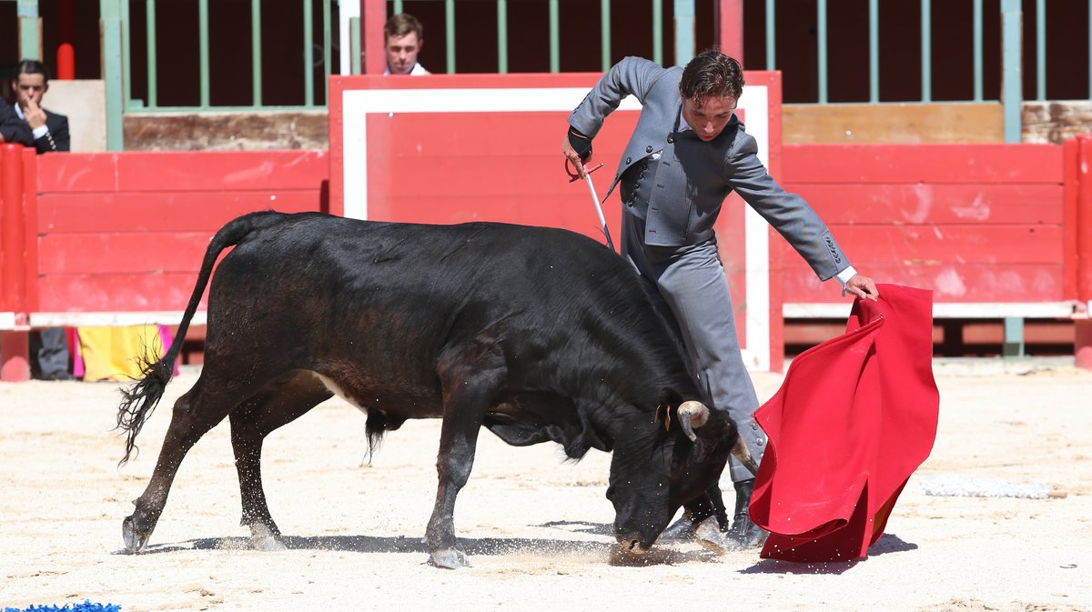 Bolsin Robert Laurent 2026 ganaderia Turquay pour Baptiste Angosto, Sacha Mosti, Rogelio Pajuelo et Julio Martin (Photo Anthony Maurin)