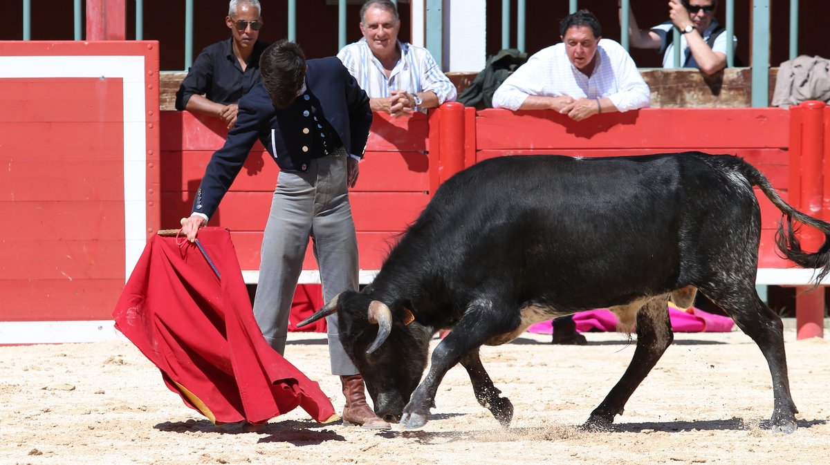 Bolsin Robert Laurent 2026 ganaderia Turquay pour Baptiste Angosto, Sacha Mosti, Rogelio Pajuelo et Julio Martin (Photo Anthony Maurin)
