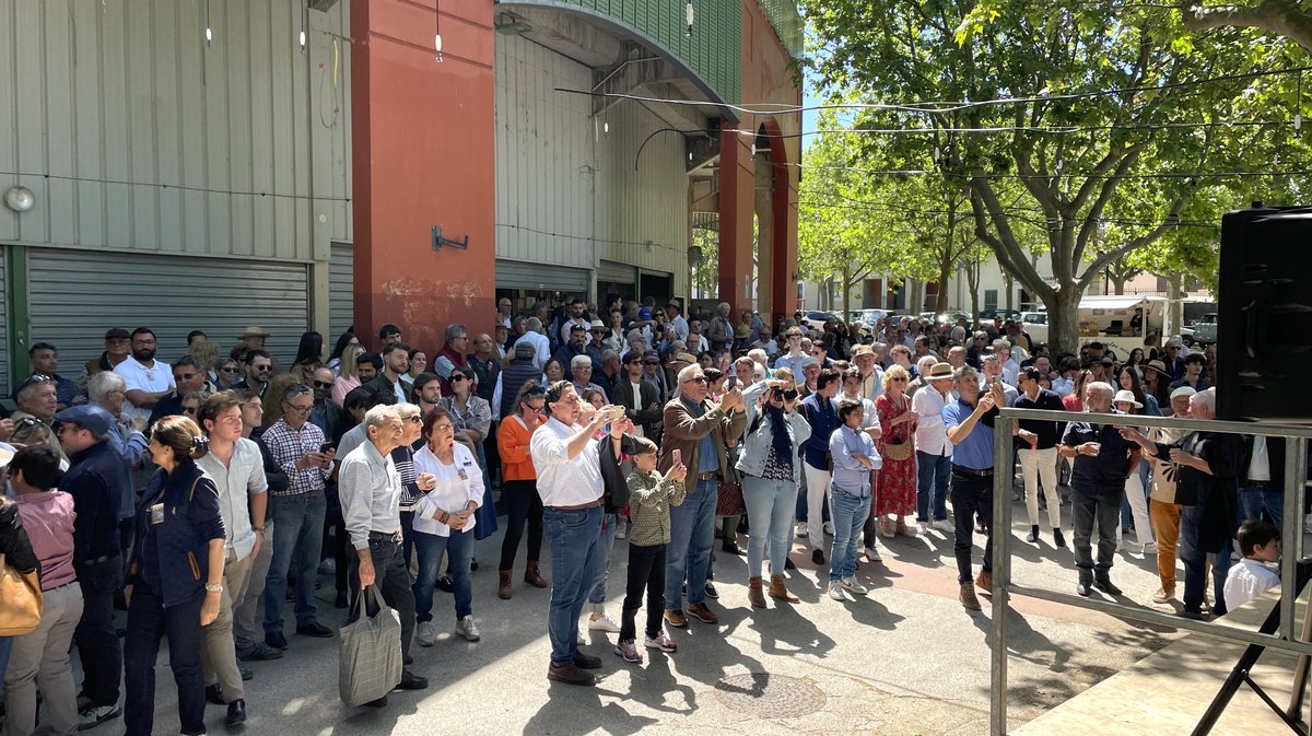 Bolsin Robert Laurent 2026 ganaderia Turquay pour Baptiste Angosto, Sacha Mosti, Rogelio Pajuelo et Julio Martin (Photo Anthony Maurin)