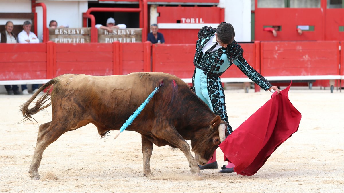 Novillada sans picadors de la Journée de l'Avenir avec François André, Turquay, Barcelo et La Suerte pour Mathias Sauvaire, Rémy Asensio, Esteban Navarro et Rogelio Pajuelo (Photo Anthony Maurin)