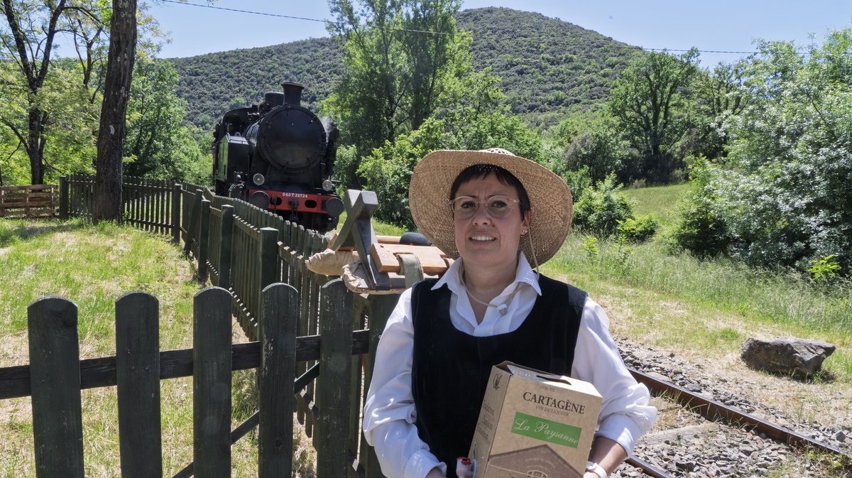 train à vapeurs des Cévenens