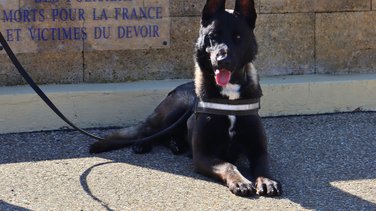 jim malinois police nationale 30