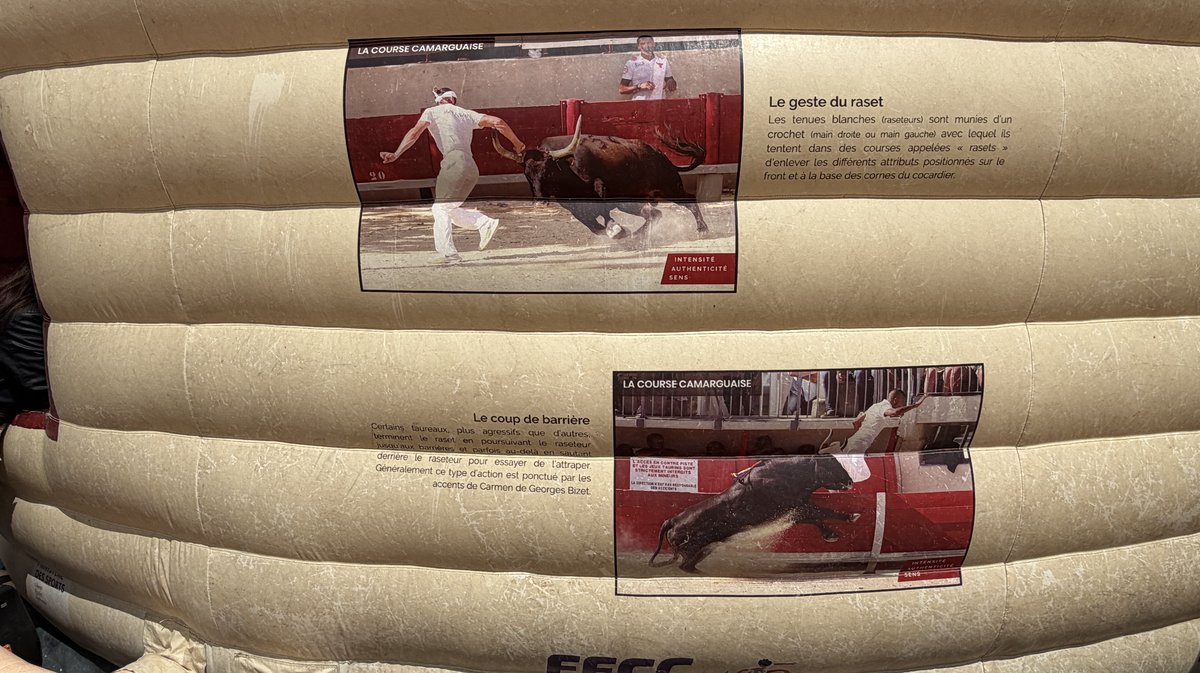 Feria des pitchouns Arènes d'Alès