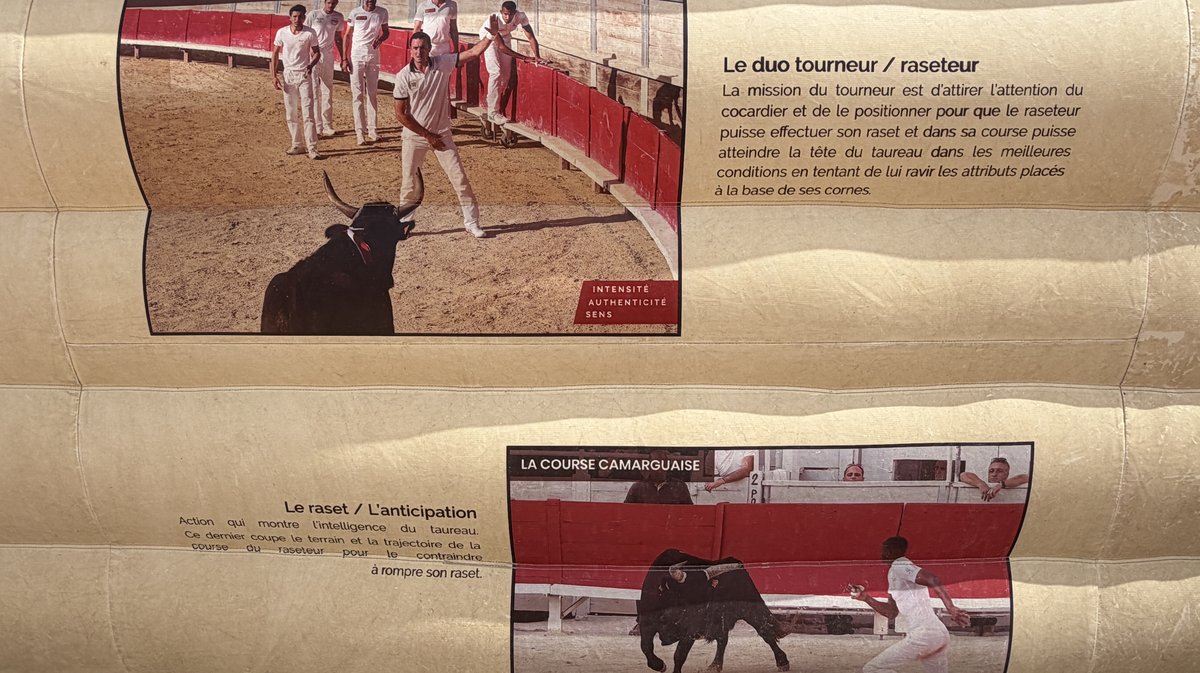 Feria des pitchouns Arènes d'Alès