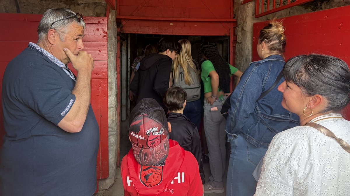 Feria des pitchouns Arènes d'Alès