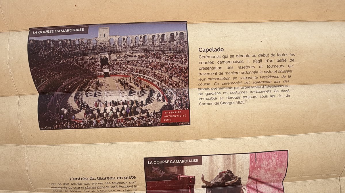 Feria des pitchouns Arènes d'Alès