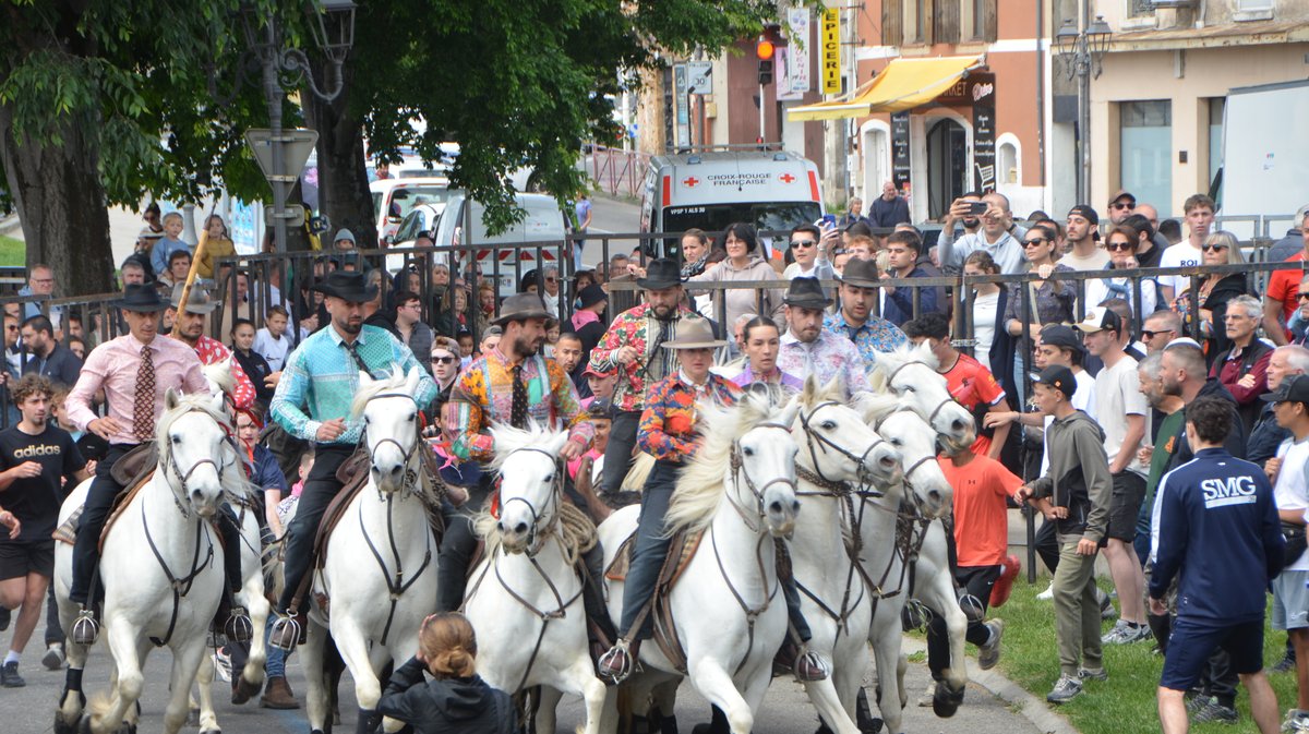 Concours d'Abrivado Feria Alès 2026