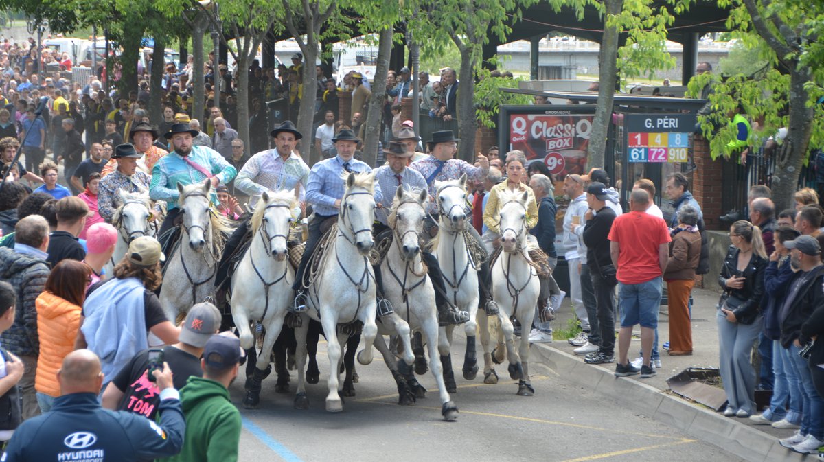 Concours d'Abrivado Feria Alès 2026