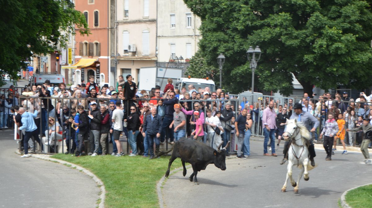 Concours d'Abrivado Feria Alès 2026