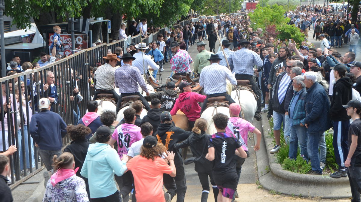 Concours d'Abrivado Feria Alès 2026