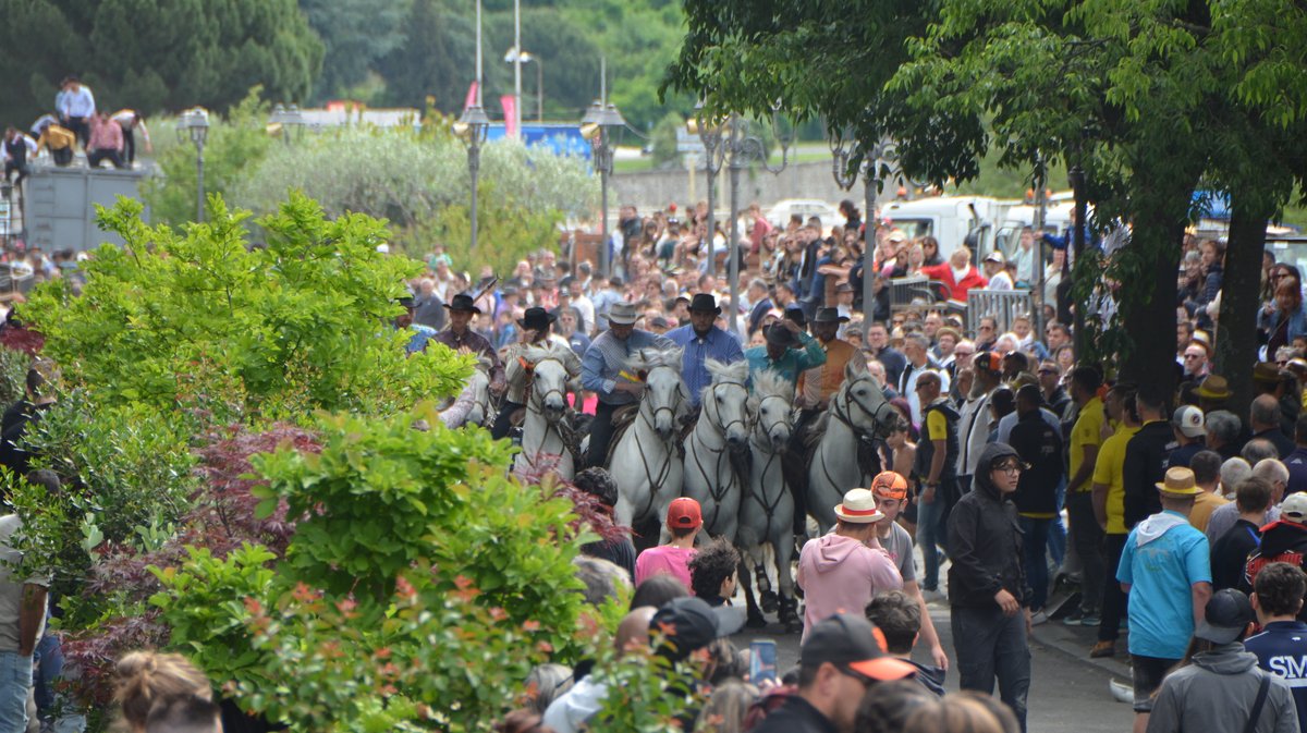 Concours d'Abrivado Feria Alès 2026
