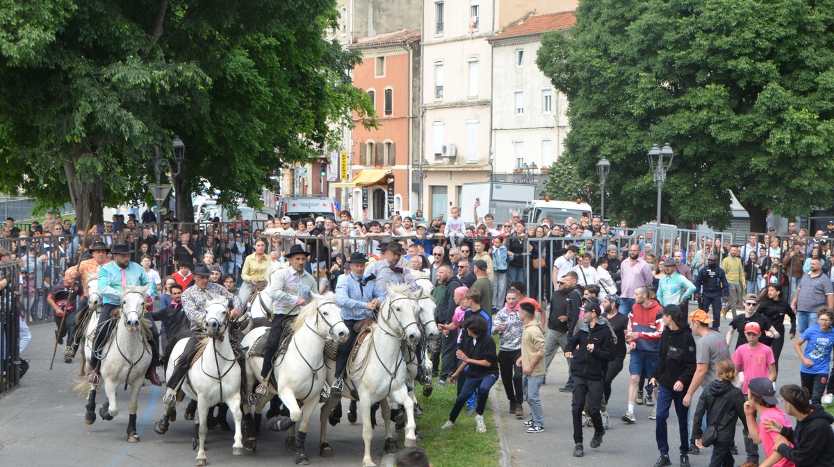Concours d'Abrivado Feria Alès 2026