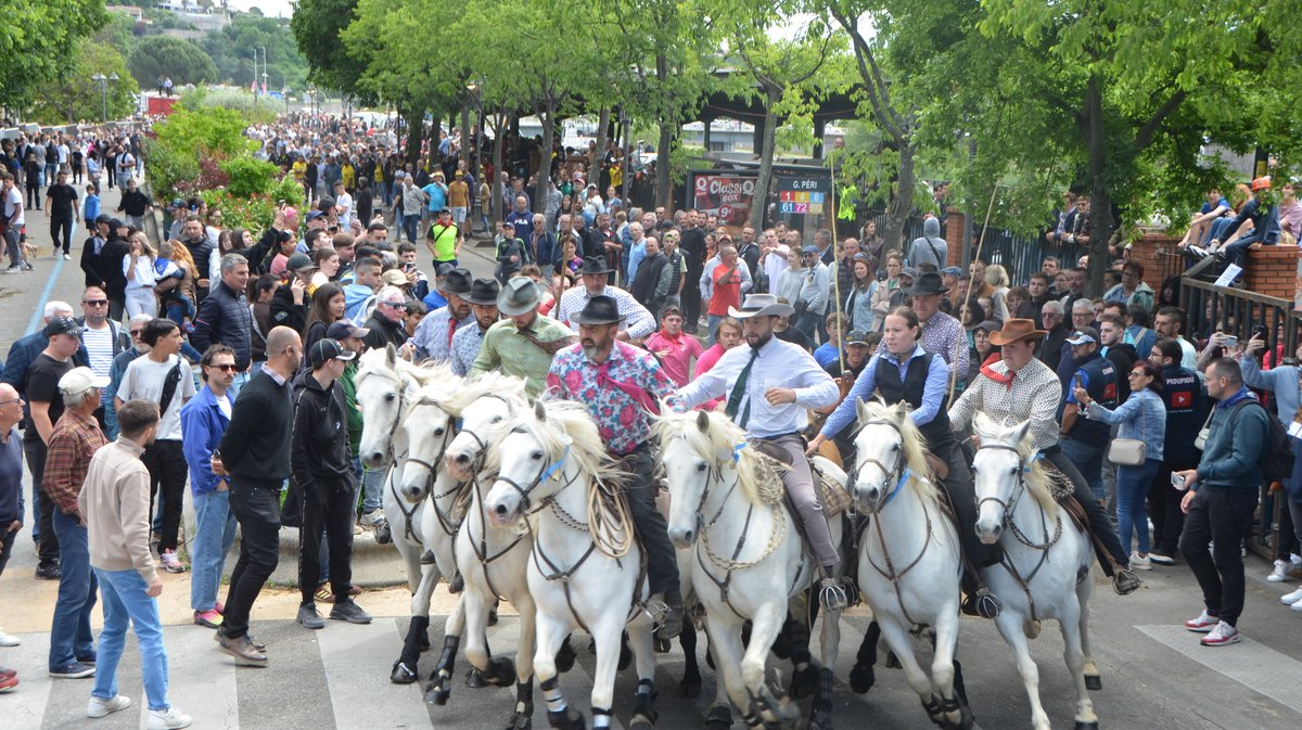 Concours d'Abrivado Feria Alès 2026