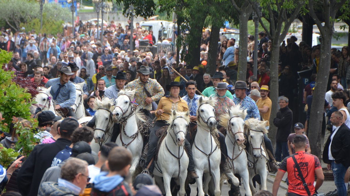 Concours d'Abrivado Feria Alès 2026